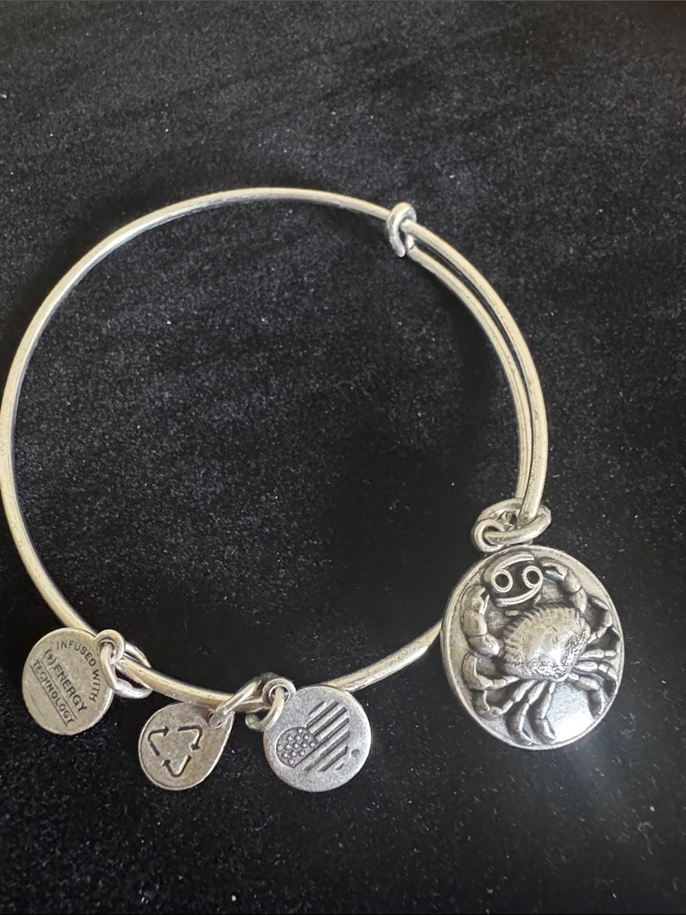 Alex and Ani Cancer Zodiac Crab Silver Tone Expandable Bangle Bracelet USA